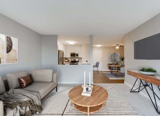 Living Room with Plush Carpeting