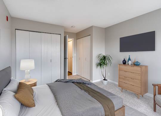 Bedroom with Plush Carpeting