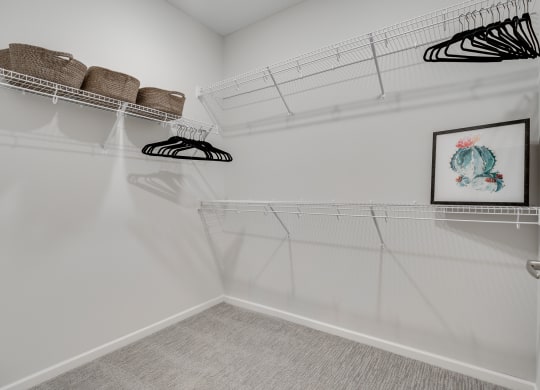 Spacious Walk-In Closet