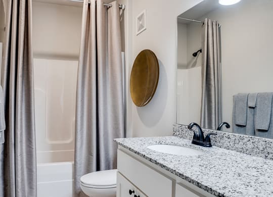 Bathroom with Large Shower and Tub