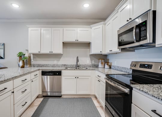 Stainless Steel Kitchen Appliances