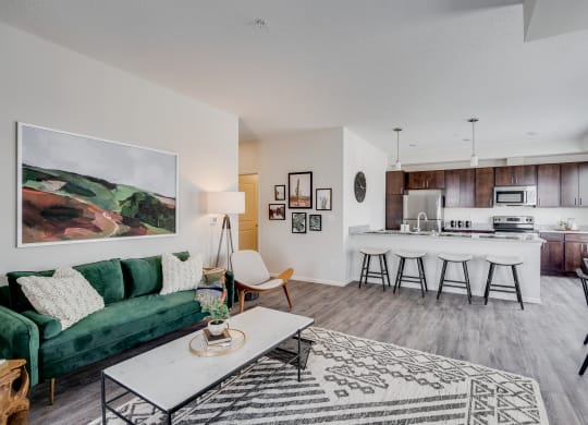 Open Concept Living Room & Kitchen