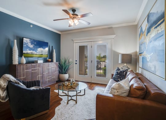 Living Room with Lots of Natural Light