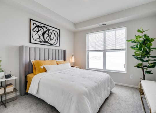 Bedroom Featuring Plush Carpet & Double Windows