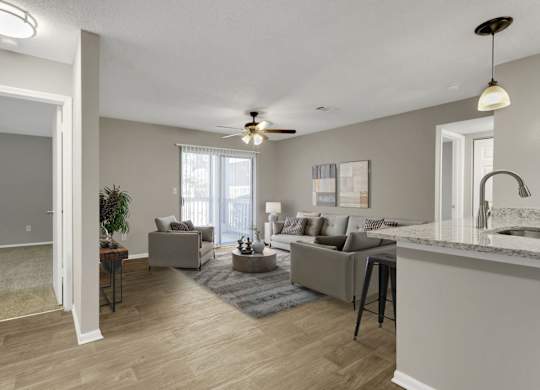 Spacious Living Area With Wood-Style Flooring