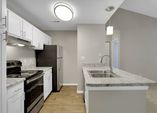 Renovated Kitchen
