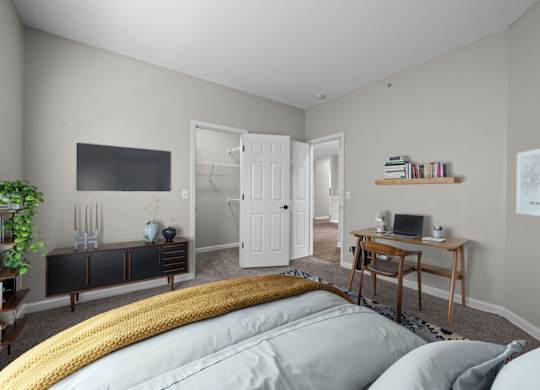 Bedroom With Walk-In Closet