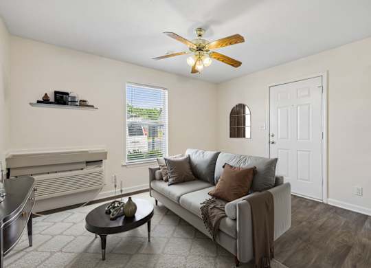 Spacious Living Area With Wood-Style Flooring