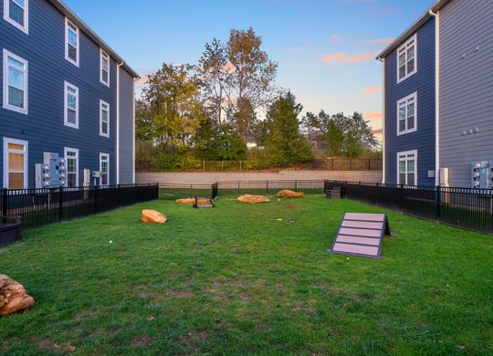 On-Premise Dog Park