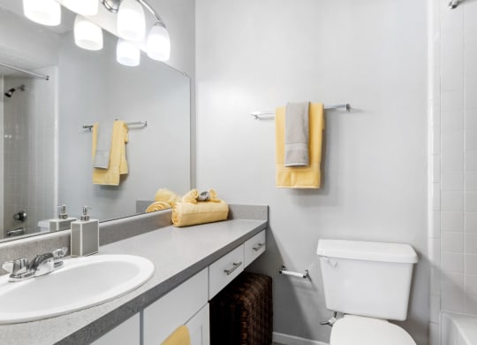 Bathroom with Modern Finishes