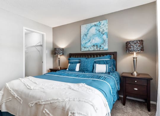 Bedroom With Walk-In Closet