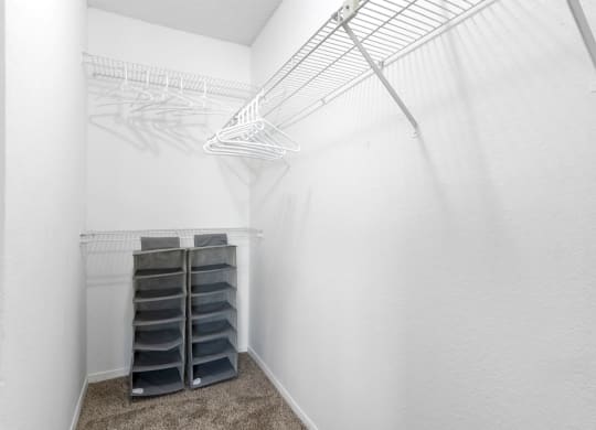 Walk-In Closet With Built-In Shelving