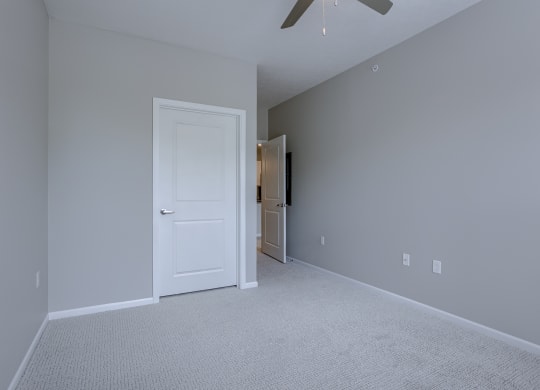 Bedroom with Plush Carpeting