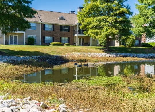 Apartment Homes at Pelican Cove Overlooking the Pond with  Wildlife