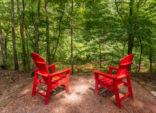 Adirondack Chairs Overlooking The River