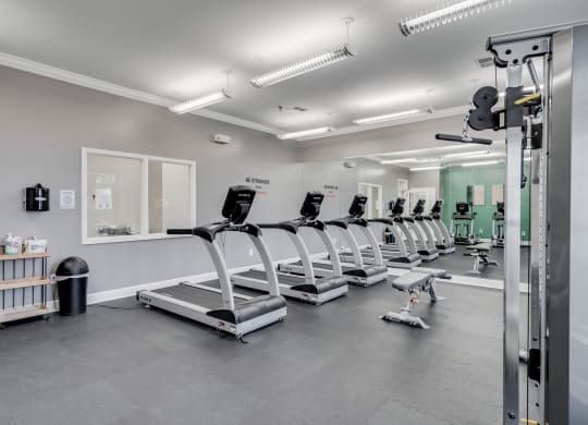 Treadmills At The Fitness Center