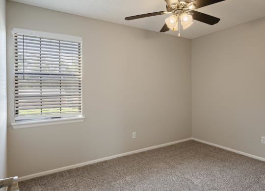 Bedroom With Plush Carpeting & Large Window