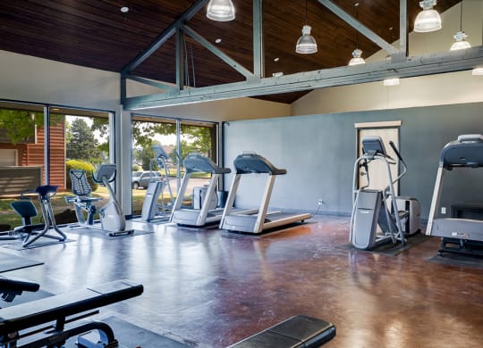 Cardio Equipment in the Fitness Center