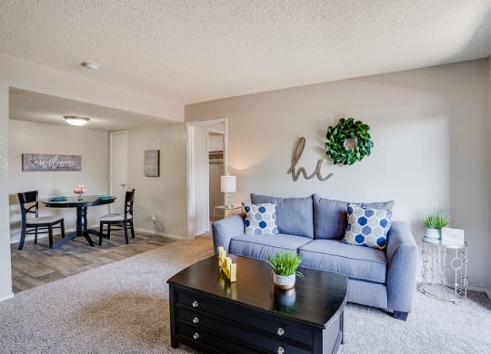 Large Living Room with Plush Carpet and Lots of Natural Light