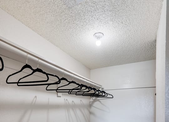 Large Walk-In Closet