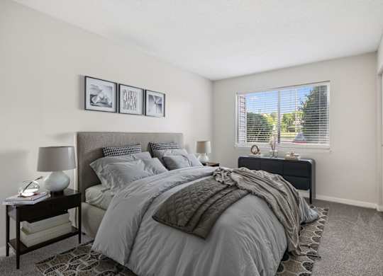 Bedroom with Plush Carpeting