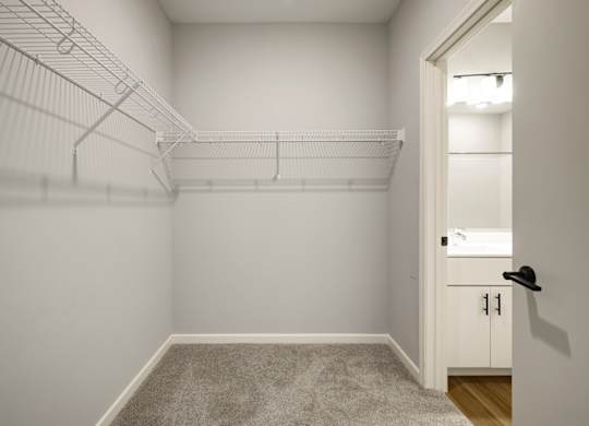 Walk-In Closet With Built-In Shelving