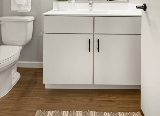 Bathroom with Modern Finishes