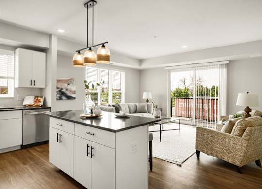 Spacious Living Area With Wood-Style Flooring