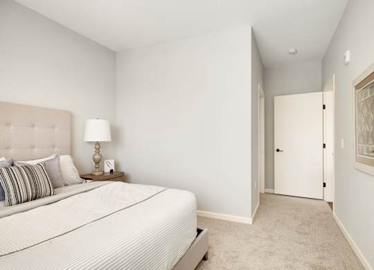 Bedroom with Plush Carpeting