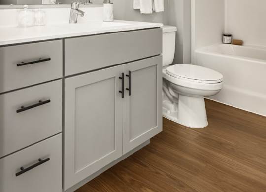 Bathroom With Wood-Style Flooring