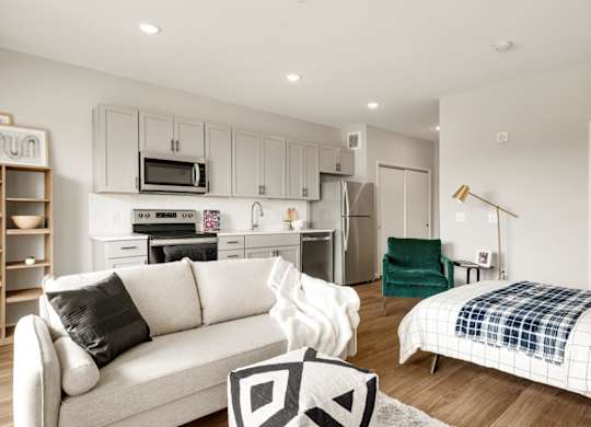 Spacious Living Area With Wood-Style Flooring