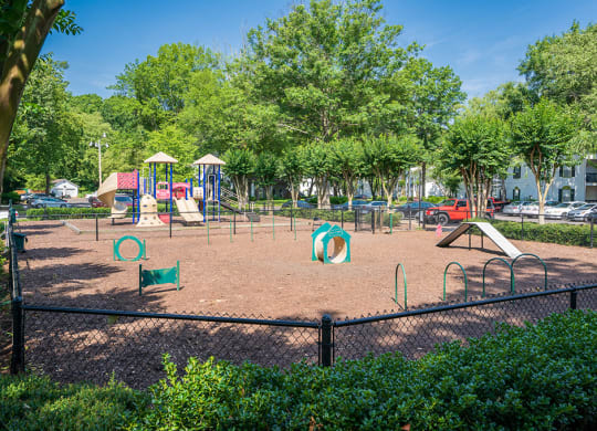 Fenced in Dog Park