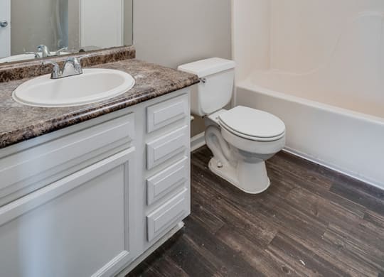 Spacious Bathroom with Grey Hardwood Style Flooring
