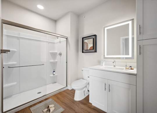 Bathroom with Modern Finishes