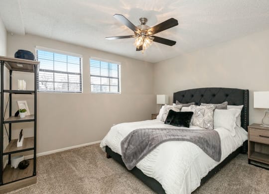 Bedroom with Plush Carpet and Double Windows