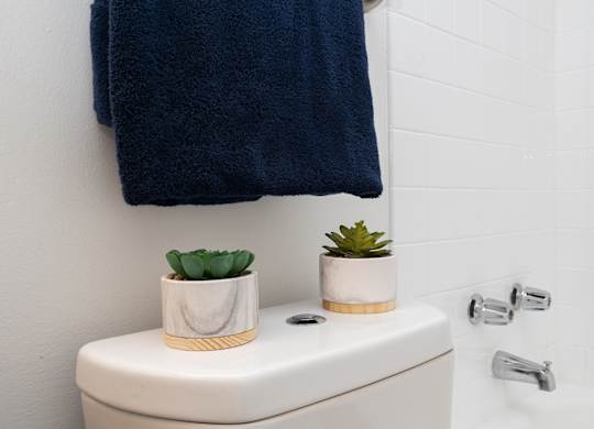 A white toilet with a blue towel and plants on top.
