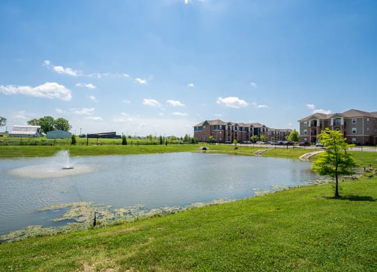 On-Premise Pond