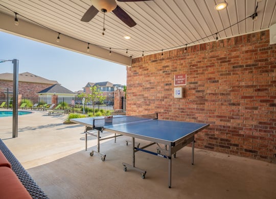 Outdoor Ping Pong Table