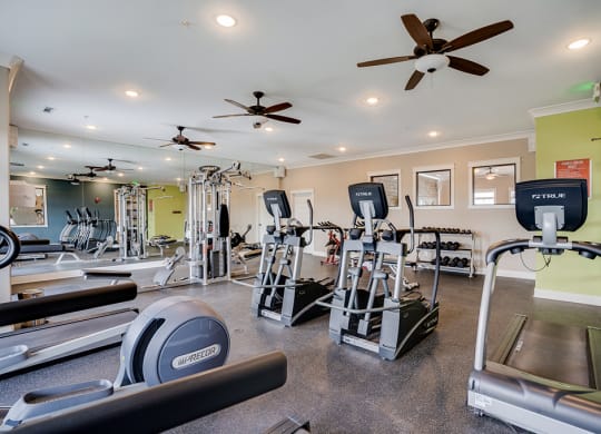 Treadmills and Elliptical Equipment