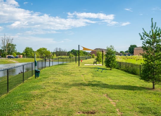 On-Premise Dog Park