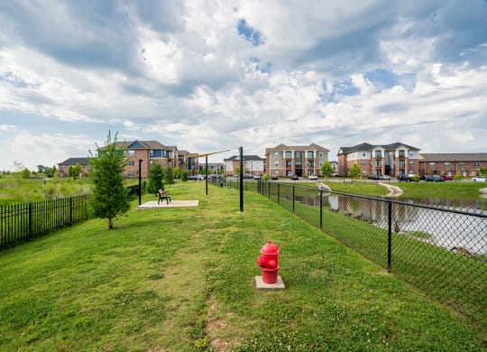 Dog Park Near Pond