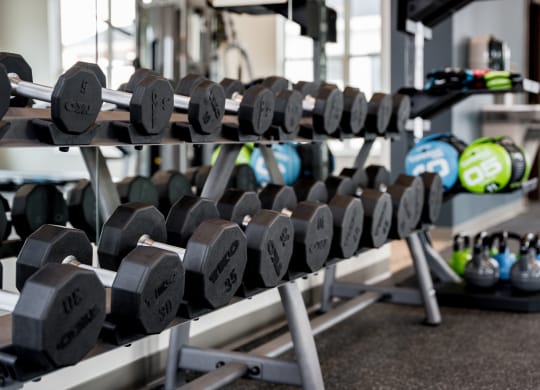 Free Weights