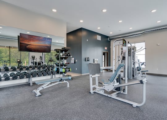 Large Gym