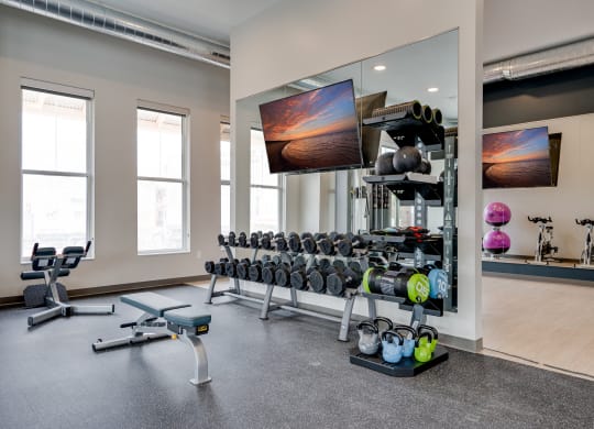 Free Weights at the Fitness Center