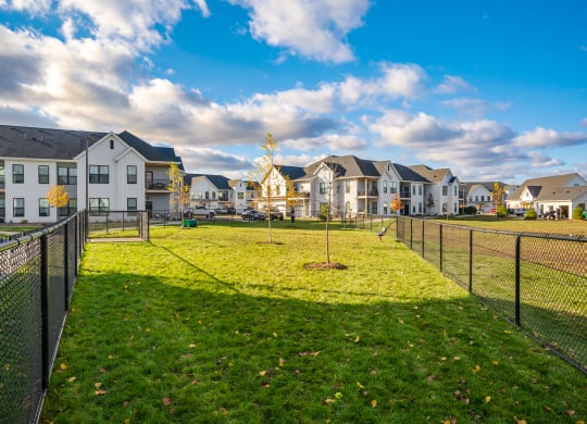 Fenced-In On-Premise Dog Park