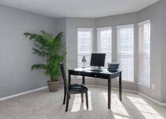 Large Windows with Carpeted Sunroom