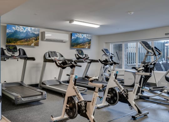 Cardio Equipment with Mounted Flat Screens