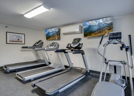 Treadmills and Elliptical Machine at the Fitness Center