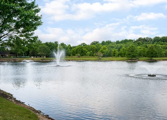 Stocked Lake with Fountains