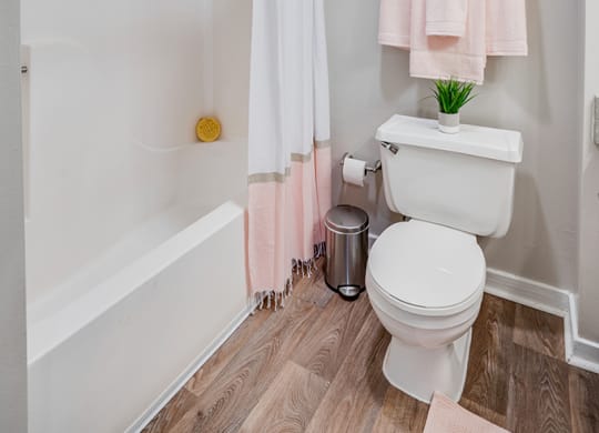 Bathroom with Large Shower and Tub